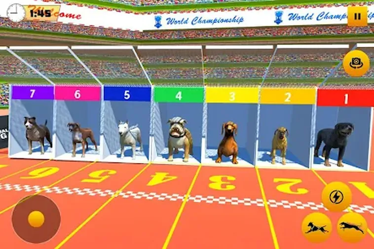 Tuyệt Chiêu Chơi Game Nhanh Đua Chó Tại BWing Thắng Lớn Mỗi Ngày