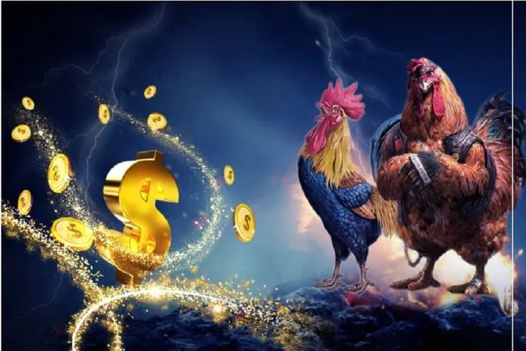Trải Nghiệm Cá Cược Đá Gà BWing Kịch Tính Đỉnh Cao Mỗi Ngày