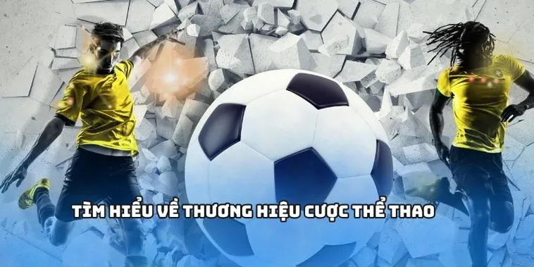 Khám Phá Sảnh Cược Thể Thao BWing Đẳng Cấp Hàng Đầu Châu Á Hiện Nay